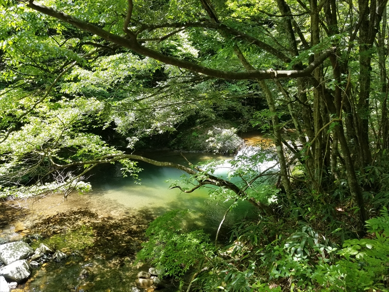 東山渓谷 近隣観光情報 奥湯来田舎体験ハウス